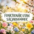 FUNKTIONÄR UTAN SÄLJARNUMMER